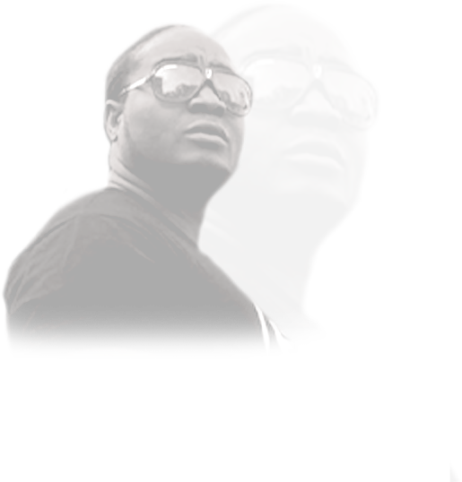 Bust photo image of the shade supreme with shades on
